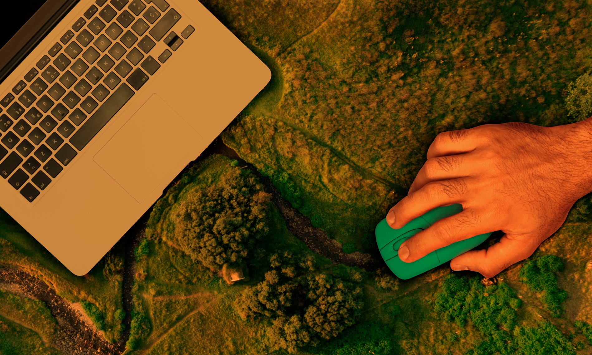 Green Coding: Strategies to Reduce Your Software’s Carbon Footprint
